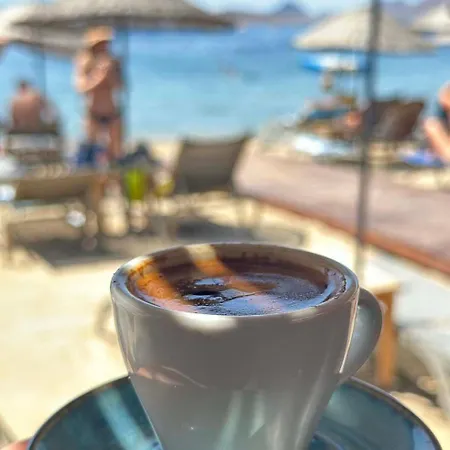 Ambrosia & 比特兹