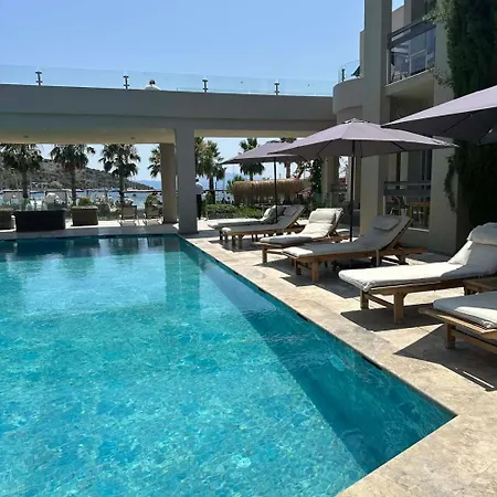 Ambrosia & 比特兹