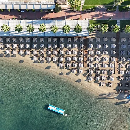 Hotel Ambrosia & 5*
