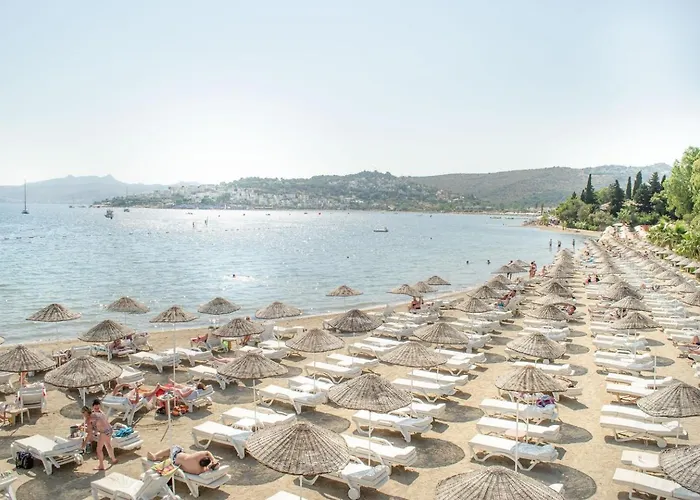 Hotel Ambrosia & 5*